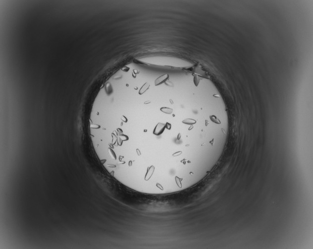 X0000087510256200705251625