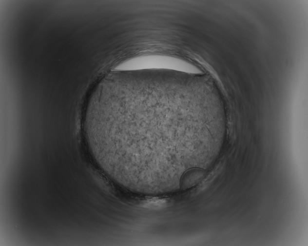 X0000087510257200705251625