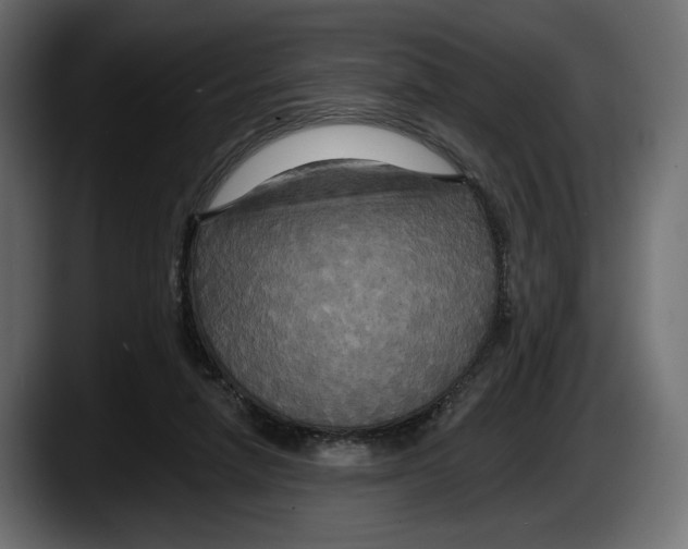 X0000087510258200705251625