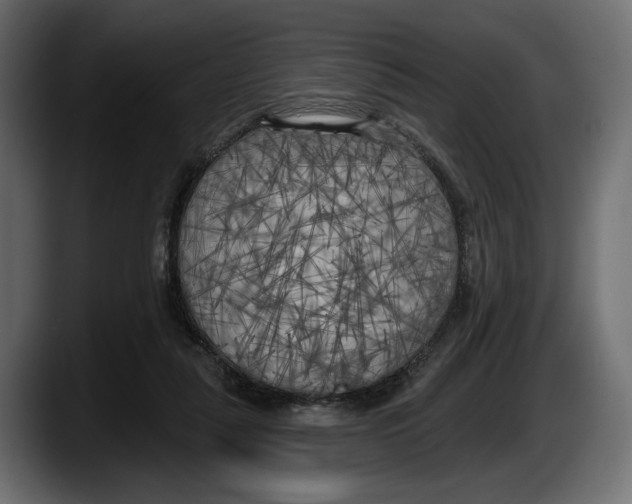 X0000087510259200705251625