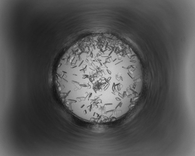 X0000087510261200705251625