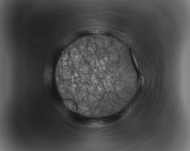 X0000087510263200705251625