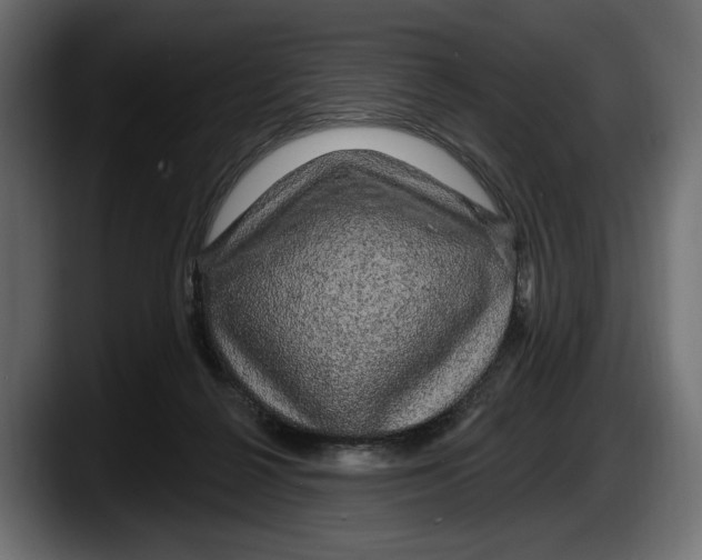 X0000087510264200705251625