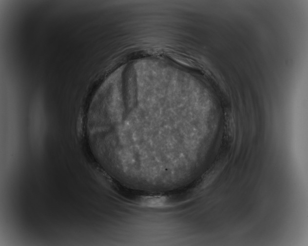 X0000087510266200705251625