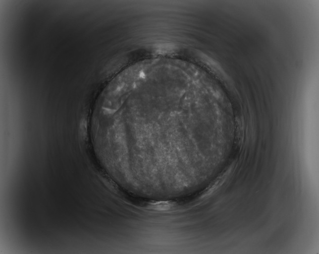 X0000087510269200705251625