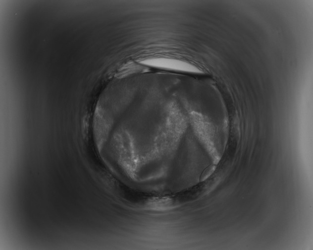 X0000087510271200705251625