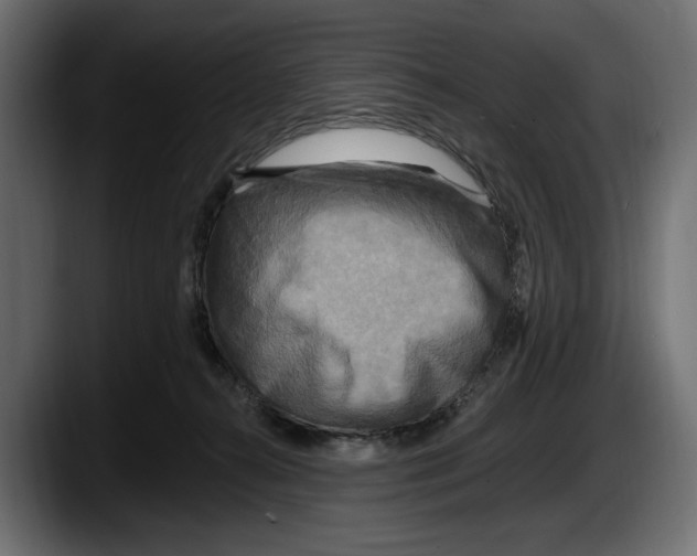 X0000087510272200705251625