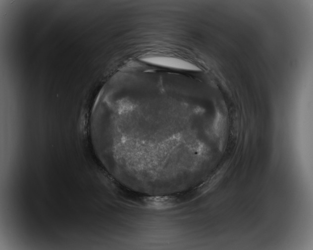 X0000087510273200705251625