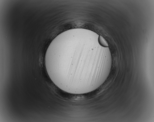 X0000087510274200705251625