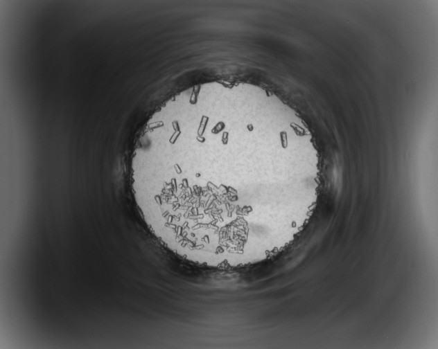 X0000087510279200705251625