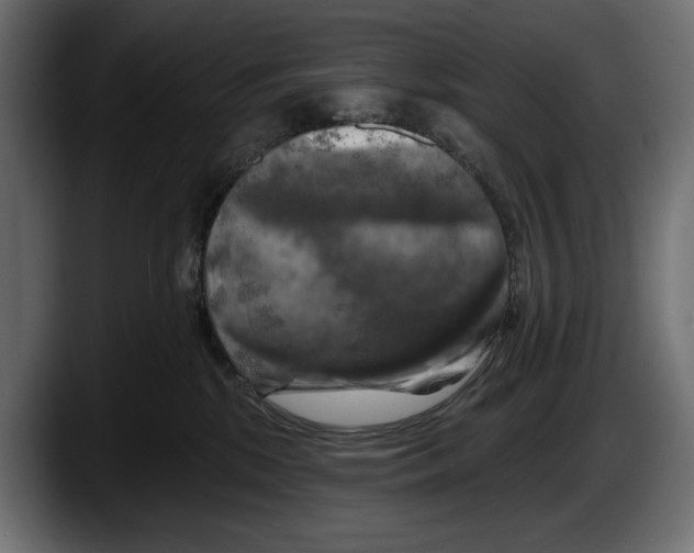 X0000087510281200705251625