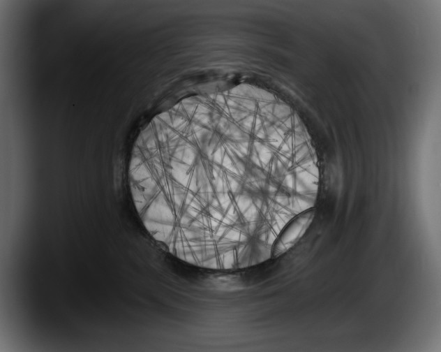 X0000087510283200705251625