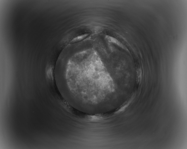 X0000087510286200705251625