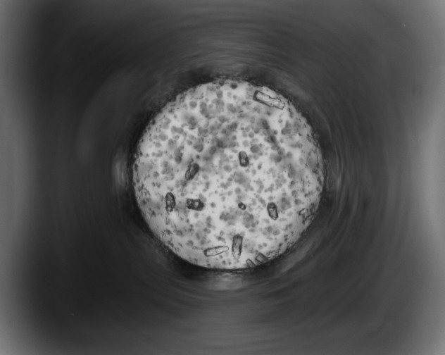 X0000087510287200705251625