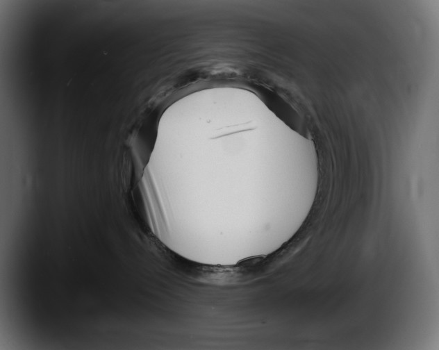 X0000087510288200705251625