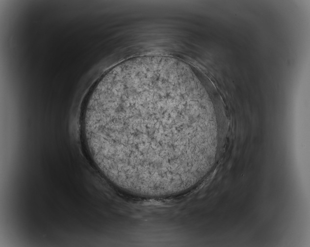 X0000087510290200705251625