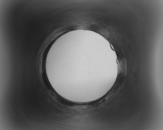 X0000087510291200705251625