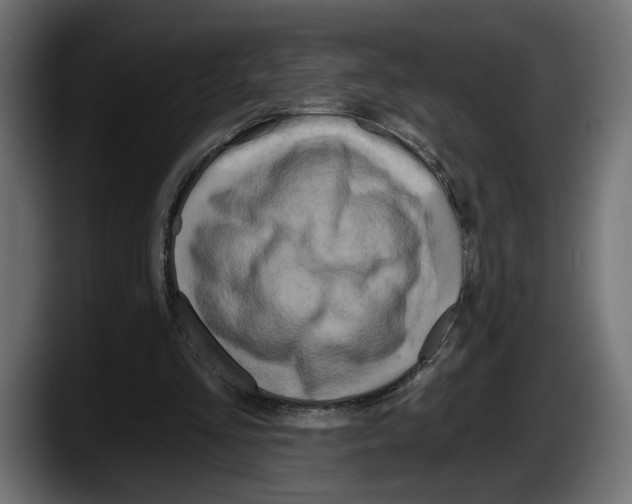 X0000087510293200705251625