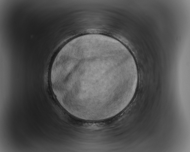 X0000087510297200705251625