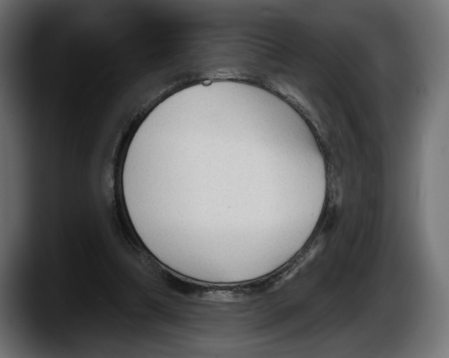 X0000087510298200705251625