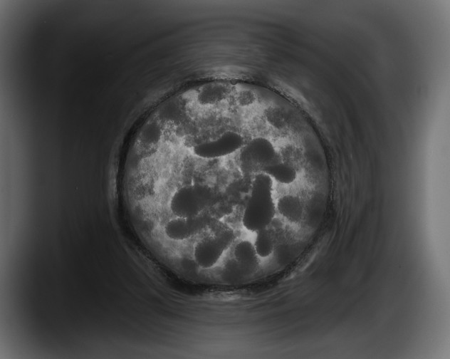 X0000087510299200705251625