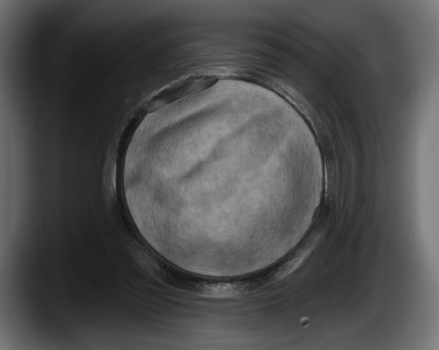 X0000087510301200705251624