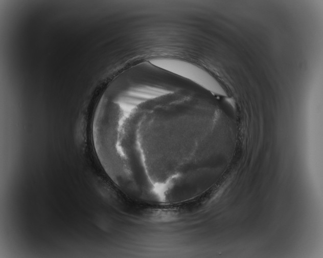 X0000087510303200705251624