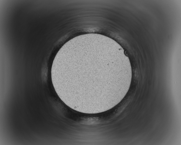 X0000087510304200705251624