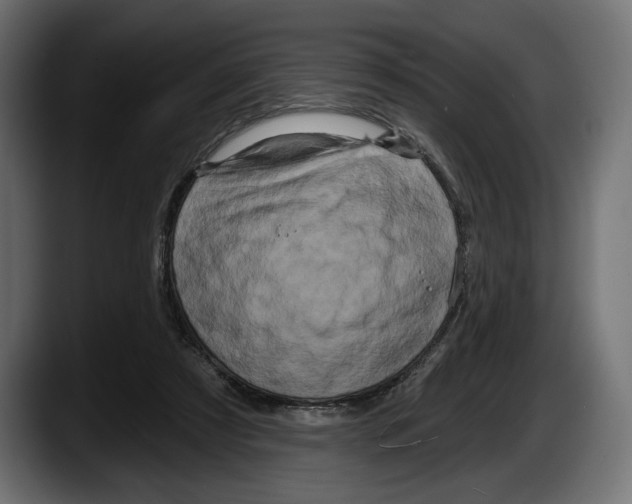 X0000087510305200705251624