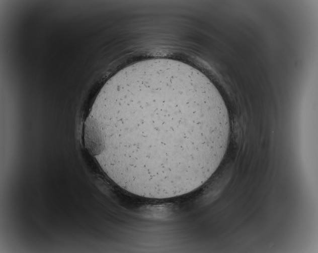 X0000087510307200705251624