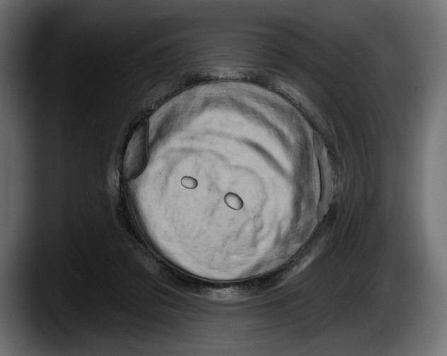 X0000087510309200705251624