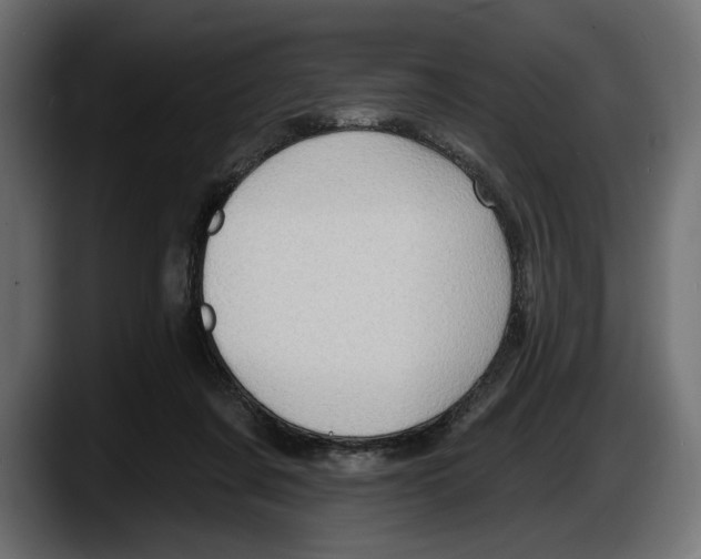 X0000087510311200705251624