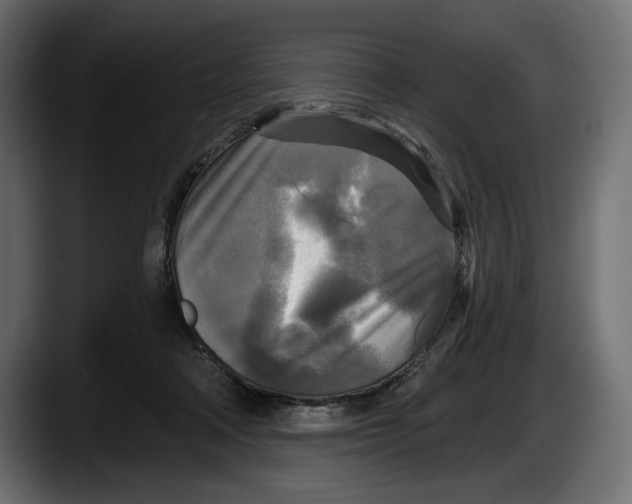 X0000087510314200705251624