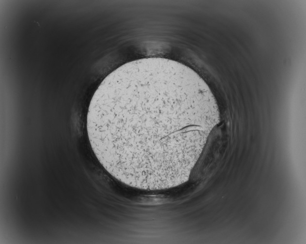 X0000087510316200705251624