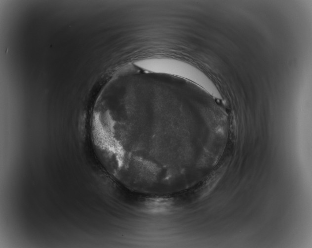 X0000087510319200705251624