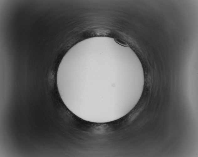 X0000087510321200705251624