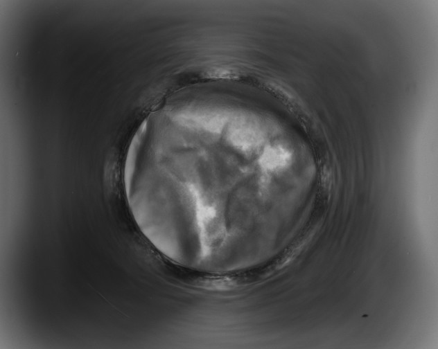 X0000087510322200705251624