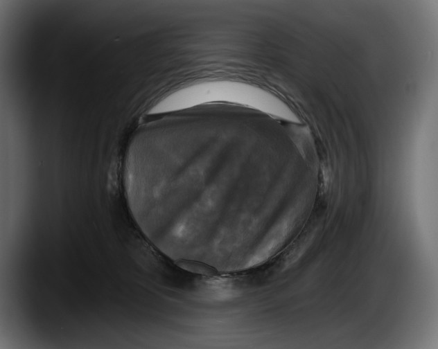 X0000087510325200705251624