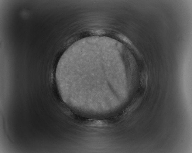 X0000087510330200705251624