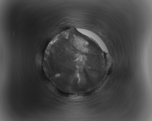 X0000087510331200705251624