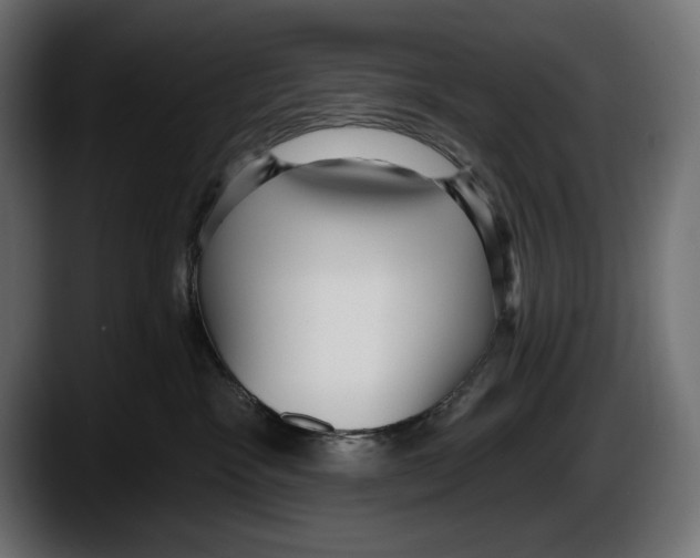 X0000087510333200705251624