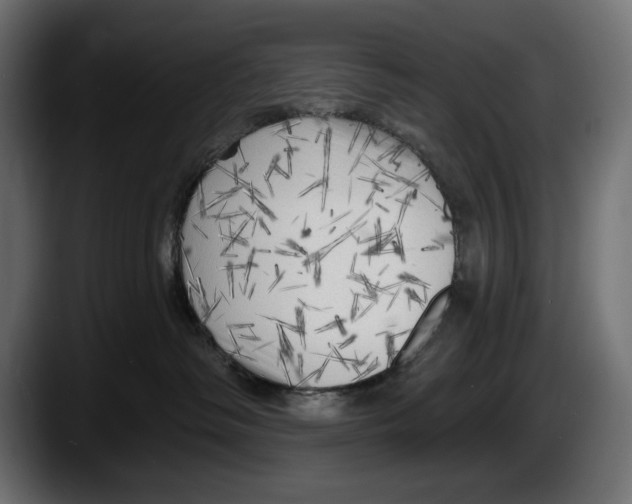 X0000087510334200705251624