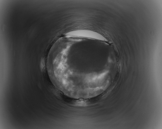 X0000087510335200705251624