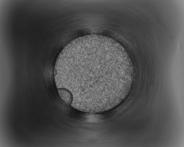 X0000087510336200705251624