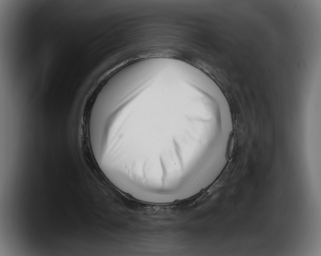 X0000087510338200705251623