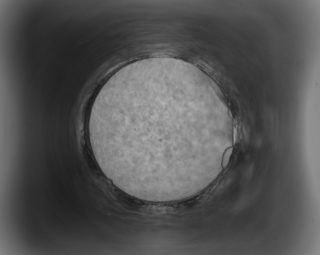 X0000087510339200705251623