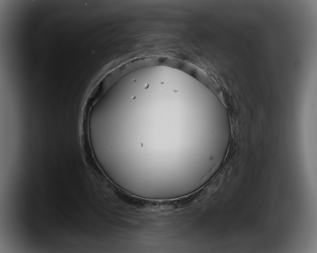 X0000087510340200705251623