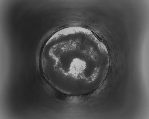 X0000087510341200705251623