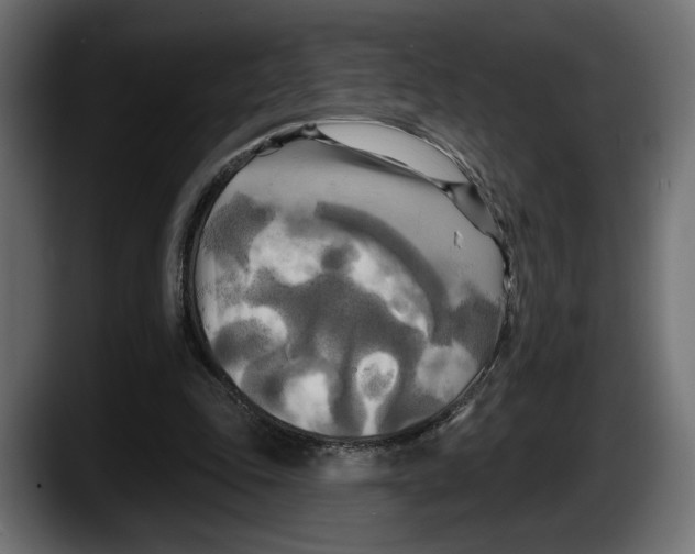 X0000087510343200705251623