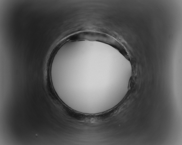 X0000087510344200705251624